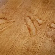 雨の翌日床や畳が濡れている