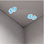 天井からポタポタ音がする（雨の日に限らず）